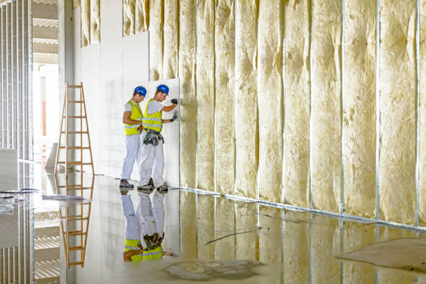Best Blown-in Insulation in Arkansas City, KS
